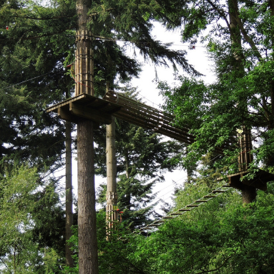 Go Ape - Thetford